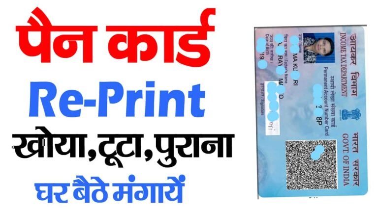 Pan Card Reprint Kaise Kare Physical Pan Card Apply Online