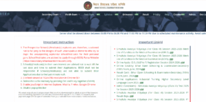 Bihar DElEd Dummy Registration Card 2025