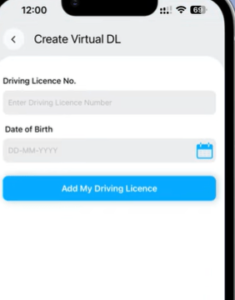 How to Download Driving Licence 2025
