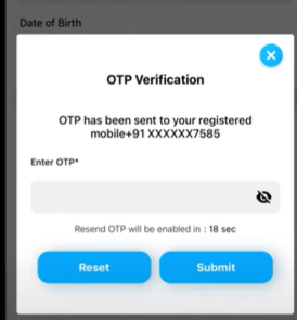 How to Download Driving Licence 2025