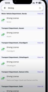 How to Download Driving Licence 2025