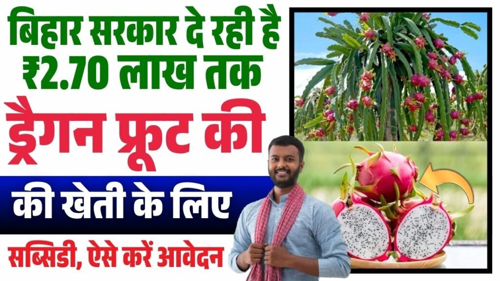 Bihar Dragon Fruit Vikas Yojana 2025 Online Apply